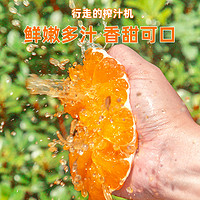 誉福园 秭归脐橙5斤装 一级果
