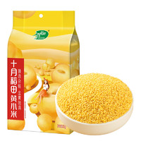 SHI YUE DAO TIAN 十月稻田 黄小米五谷杂粮小黄米1kg 