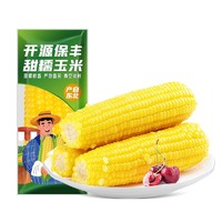 开源保丰 东北黄糯玉米 180g*10支装