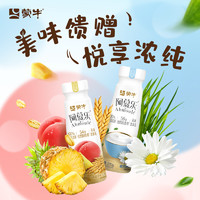 MENGNIU 蒙牛 阿慕乐酸奶原味低温发酵乳营养早餐礼盒装210g*10瓶（买一发二）