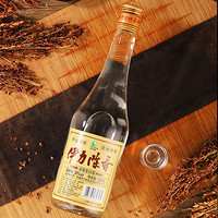 YILITE 伊力特 伊力白酒50度伊力陈香500ml 