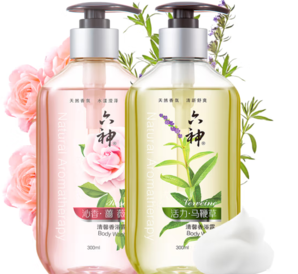 PLUS会员！六神 香氛沐浴露礼盒套装沁香蔷薇香300ml+马鞭草香沐浴露300ml(滋润)