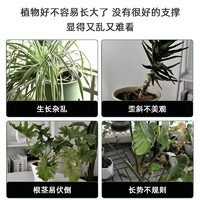 DEEPBANG 深邦 植物爬藤架花架固定器葡萄架黄瓜月季固定架防倒杆园艺支撑杆