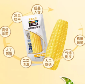 北纬47°  黄糯玉米200g*4穗