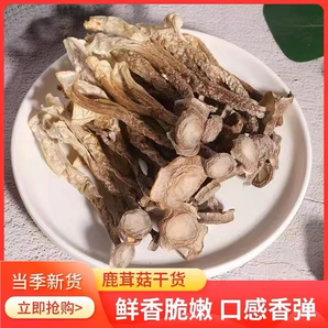 鹿茸菇干货500g 