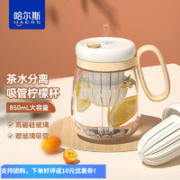 HAERS 哈尔斯 玻璃杯女士泡茶杯大肚吸管杯办公茶水杯子 米色850ml