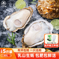 乳山牡蛎 鲜活乳山生蚝4XL号 户外烧烤食材 净重2.5kg 8-15只