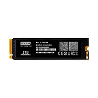 某东京造 玄武系列 NVMe M.2固态硬盘 1TB（PCIe4.0×4）