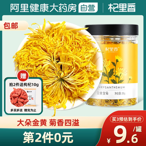 金丝皇菊一杯一朵大花菊花茶胎菊贡菊搭配枸杞金银花杭黄白菊泡水