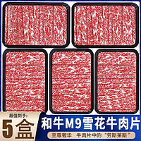 今日福利!100盒 澳洲原切M5牛肉片5盒1000克装+