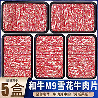 澳洲安格斯原切M5 牛肉片5盒 2斤装+