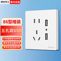 fdd 国际电工 86型 20W快充 暗装五孔双USB-白色