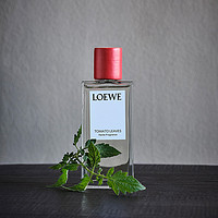 LOEWE 罗意威 番茄叶家居香水 150ml