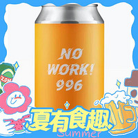 梦想酿造 NO WORK 996 三倍猕猴桃古斯啤酒 330ml 单罐