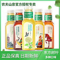 NONGFU SPRING 农夫山泉 东方树叶500ml*12瓶 0糖0卡0脂原叶萃取茶饮料特价批发