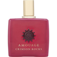 AMOUAGE 爱慕 红岩 EDP 100ml 简装（白盒或无盖）