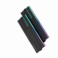 Asgard 阿斯加特 女武神·瓦尔基里Ⅱ代 DDR5 6000 台式机内存条 32GB(16Gx2) RGB灯条