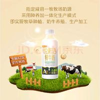 悦鲜活 鲜牛奶 A2β-酪蛋白鲜奶 950ml*1瓶