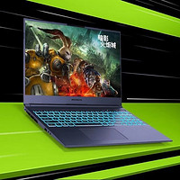 机械革命 旷世G16Pro 16英寸电竞游戏笔记本（i7-13650HX、16GB、1TB、RTX4070）