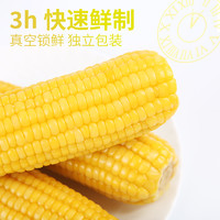 禾田粒 东北黄糯玉米 220g*6支