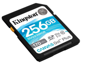 10日20点月黑风高！Kingston 金士顿 SDG3系列 SD存储卡 256GB（USH-I、V30、U3）