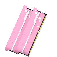 Wodposit 沃存 海王星系列 樱花限量款 DDR5 6400MHz 台式机内存条 32GB(16GB*2)  套装