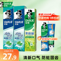 DARLIE 好来 黑人牙膏家庭装（清新双效200g*2+绿茶160g）赠牙膏40g