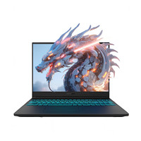 机械革命 蛟龙16S游戏本 灰色（R7-8845H、RTX4060 8G、16GB、512GB、2.5K、165Hz）