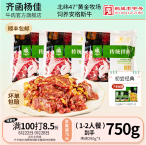 鹤城老字号！齐函杨佳 齐齐哈尔东北烤肉安格斯牛肉 250g*3袋