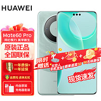 HUAWEI 华为 mate60 pro 卫星通话 旗舰鸿蒙智能手机 现货速发 雅川青 12G+1TB