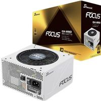 Seasonic 海韵 FOCUS White GX850 金牌全模组电源 额定850W+金士顿 U盘 64GB