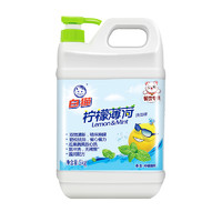 White Cat 白猫 柠檬薄荷洗洁精5kg*4瓶（整箱装） A类食品用祛油除腥青柠薄荷香