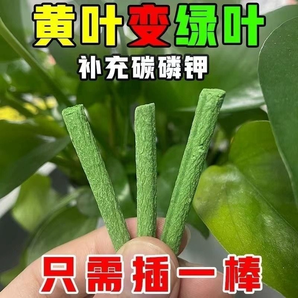 植物营养棒缓释肥料盆栽花卉家用懒人养花通用型营养液片绿植土壤