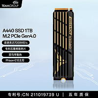 Team 十铨 黑曜女神 A440 1TB 固态硬盘 2TB M.2 PCIe SSD 黑曜女神 A440 1TB SSD