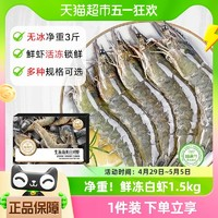 喵满分 大虾鲜活白虾1.5kg(净重)超大青虾冷冻基围速冻海水产对虾