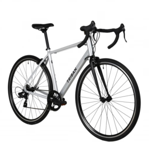 DECATHLON 迪卡侬 RC100 公路自行车 8544692