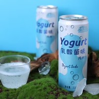 悦乐纷 乳酸菌味汽水 330ml*24罐