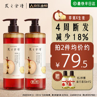 Hair Recipe 发之食谱 苹果生姜滋养修护洗发露 530ml（买3件赠旅行装50ml*2）