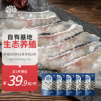 中润鱼 免浆黑鱼片250g*5袋 中段 酸菜鱼火锅食材中秋源头直发 包邮