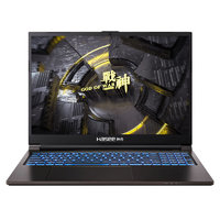 Hasee 神舟 战神 TX8R7 16英寸游戏本（ i7-13700HX、16GB、512GB、RTX4060）