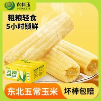 农科玉 玉米新鲜甜糯玉米 260g*8根