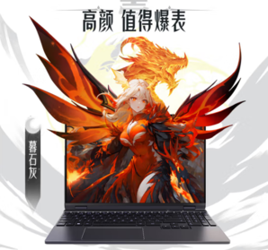 MECHREVO  机械革命 翼龙15 Pro 15.3英寸游戏本（R7-8845H、24GB、1TB、RTX4060）