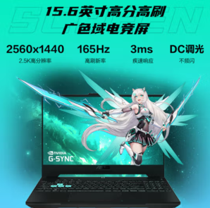 ASUS 华硕 天选5 15.6英寸游戏本（R7-8845H、16GB、512GB、RTX4060）