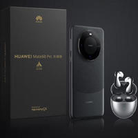 HUAWEI 华为 Mate 60 Pro 乐臻版 手机 12GB+512GB 雅丹黑