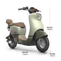 Yadea 雅迪 M20-D 电动自行车