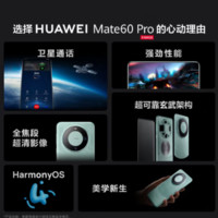 HUAWEI 华为 Mate 60 Pro 手机 12GB+512GB 雅丹黑