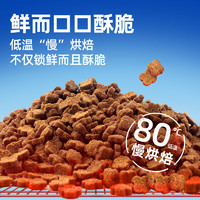 宠元的欧卡 猫粮主食干粮  100g*2袋