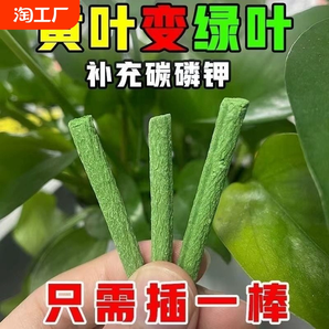 植物营养棒缓释肥料盆栽花卉家用懒人养花通用型营养液片绿植土壤