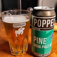 poppels 波普尔斯 松树 西海岸IPA 440ml单罐