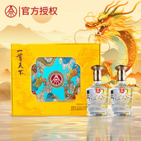 WULIANGYE 五粮液 52度浓香型白酒 500mL*2瓶 礼盒装